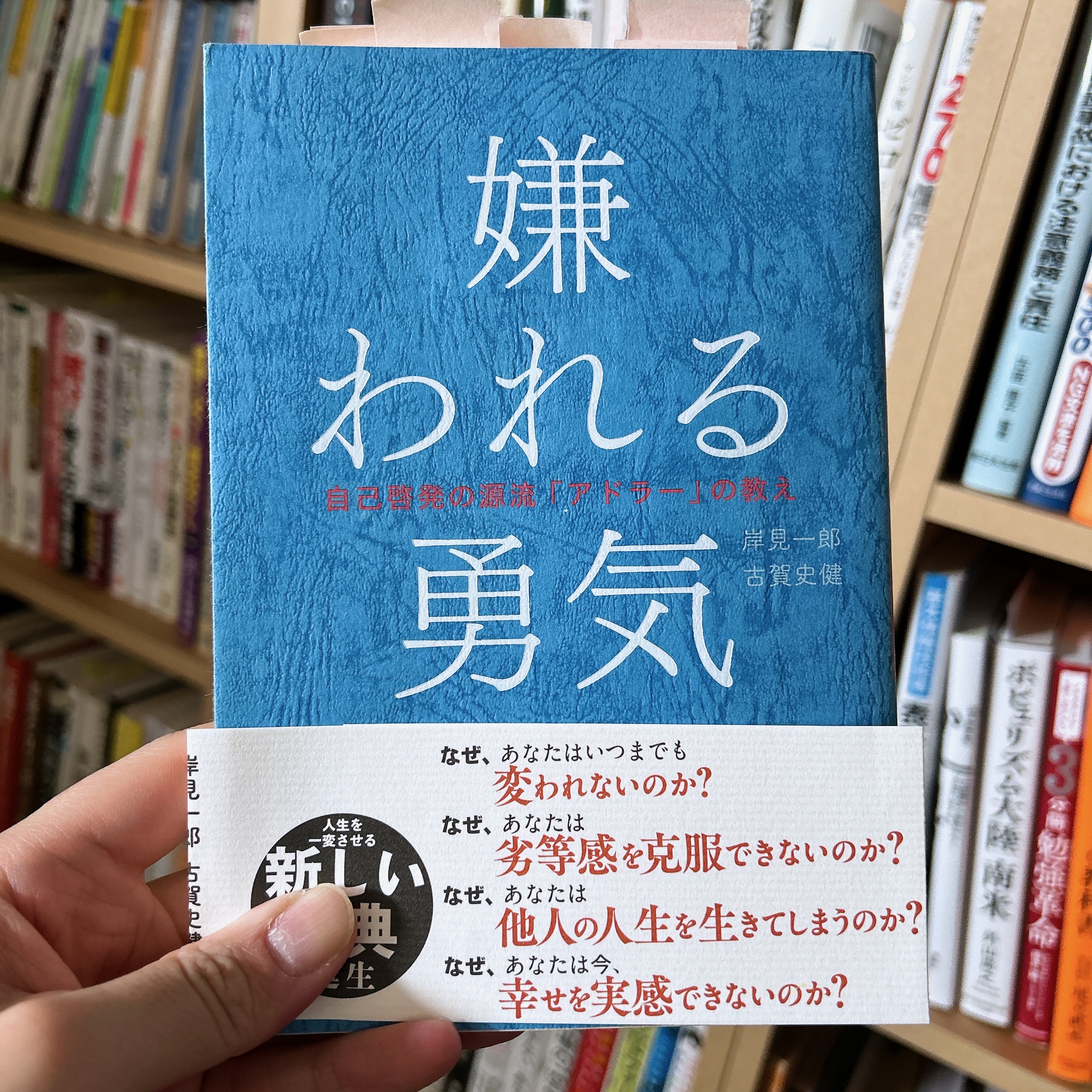投稿1